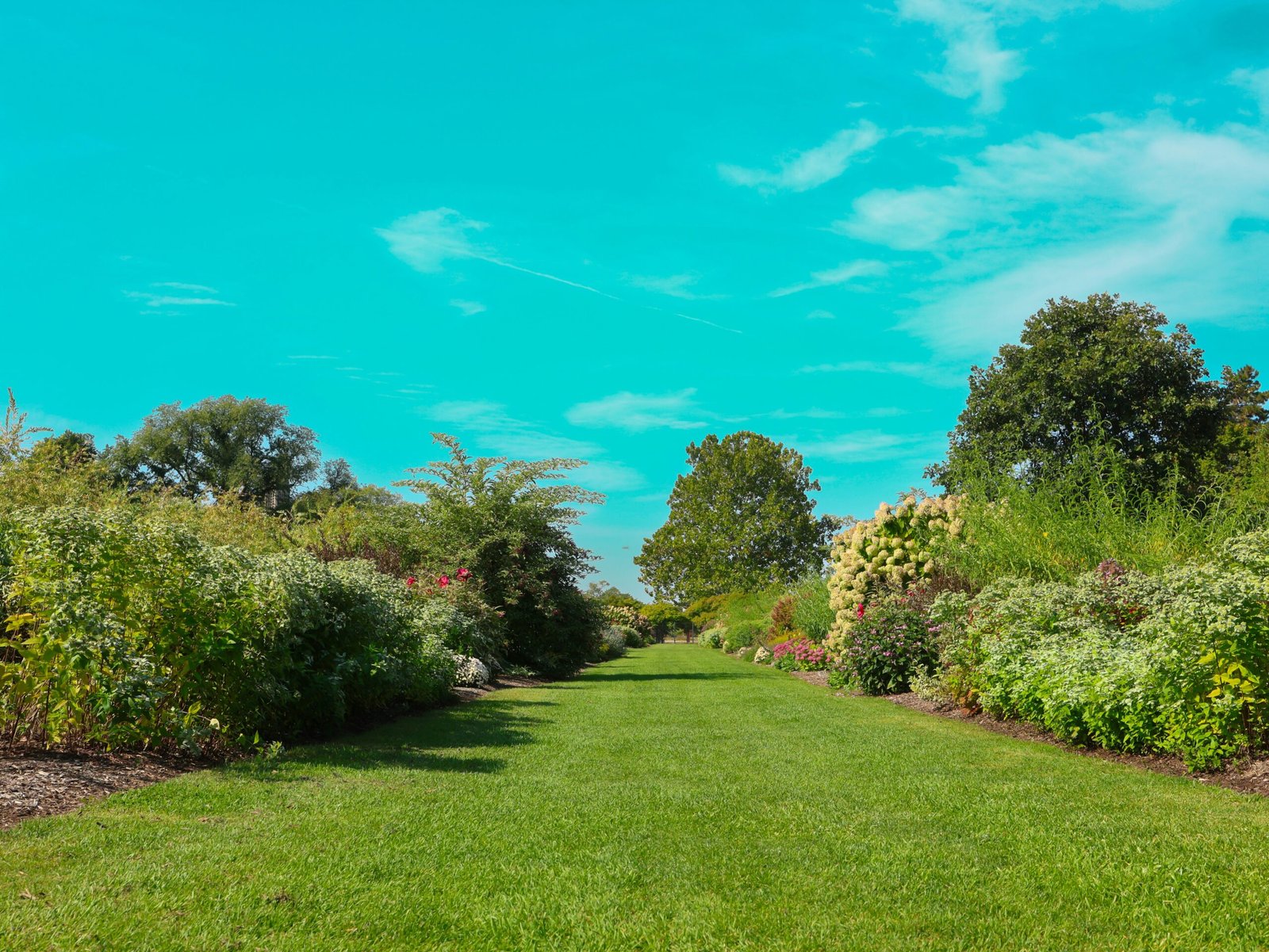 Jardin dégagé et remis en état après débarras